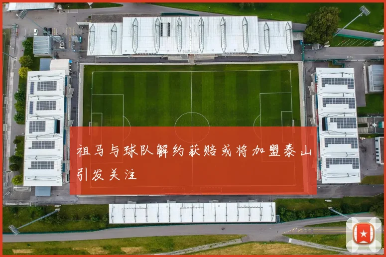 祖马与球队解约获赔或将加盟泰山引发关注