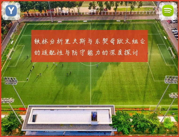 铁林分析里夫斯与东契奇欧文组合的适配性与防守能力的深度探讨